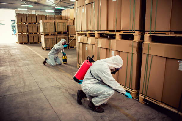 Best Flea Control Services  in Cedar Lake, IN
