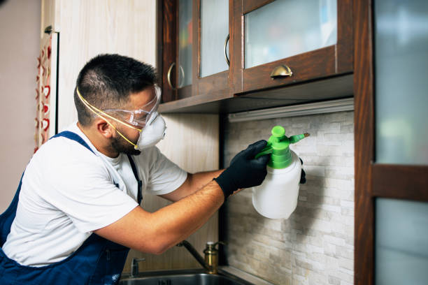 Best Commercial Pest Control Services  in Cedar Lake, IN