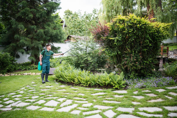 Wasp Removal Services in Cedar Lake, IN