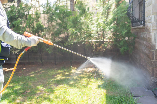 Best Local Pest Control Services  in Cedar Lake, IN