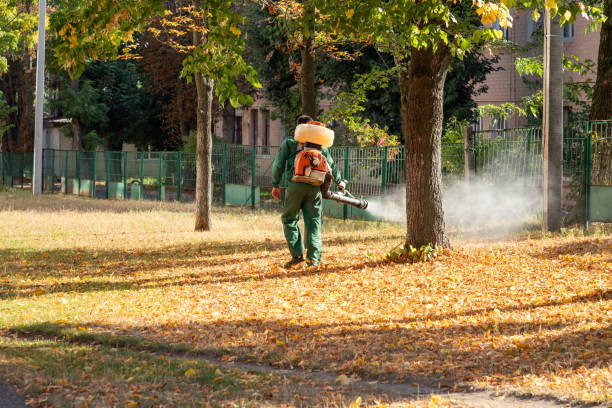 Best Pest Removal Services  in Cedar Lake, IN