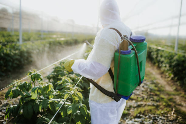 Best Commercial Pest Control Services  in Cedar Lake, IN